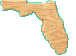 FLORIDA ANIMATION 1