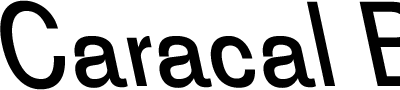 Caracal Backslant font sample