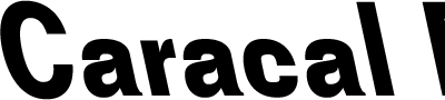 Caracal Backslant Bold font sample