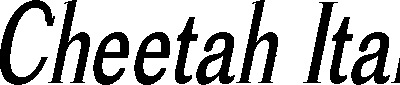 Cheetah Italic font sample